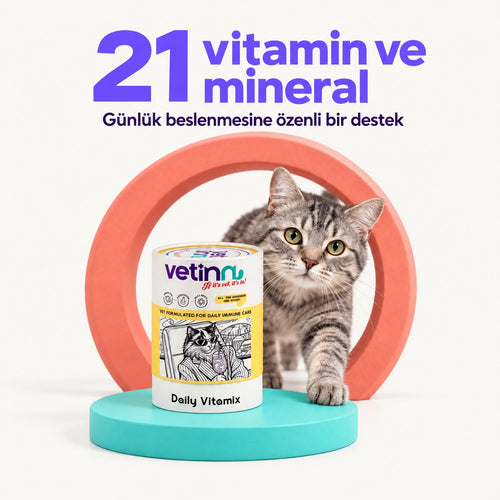 Daily Vitamix | Kedi Vitamin ve Mineral Takviyesi, 150 g