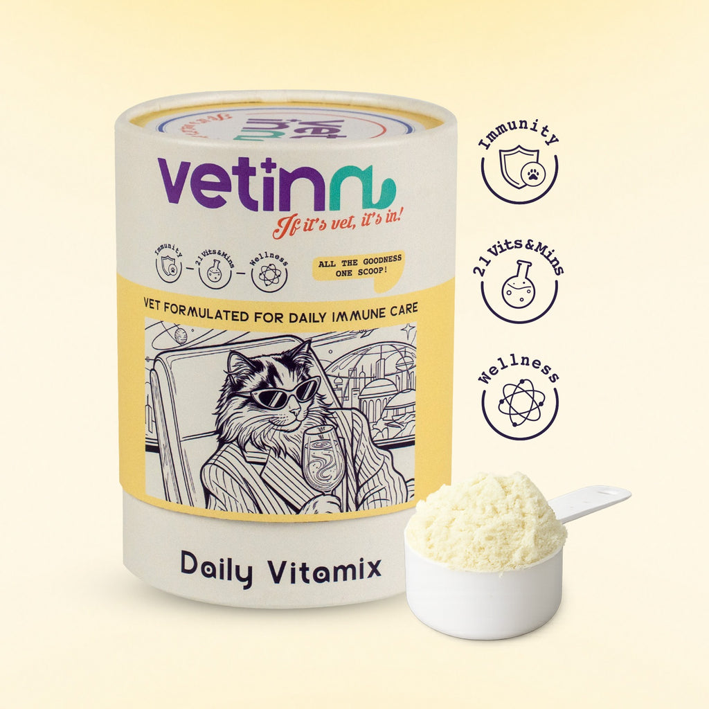 Daily Vitamix - Kedi lang:tr [tr-first]