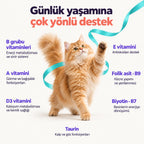 Daily Vitamix | Kedi Vitamin ve Mineral Takviyesi, 150 g