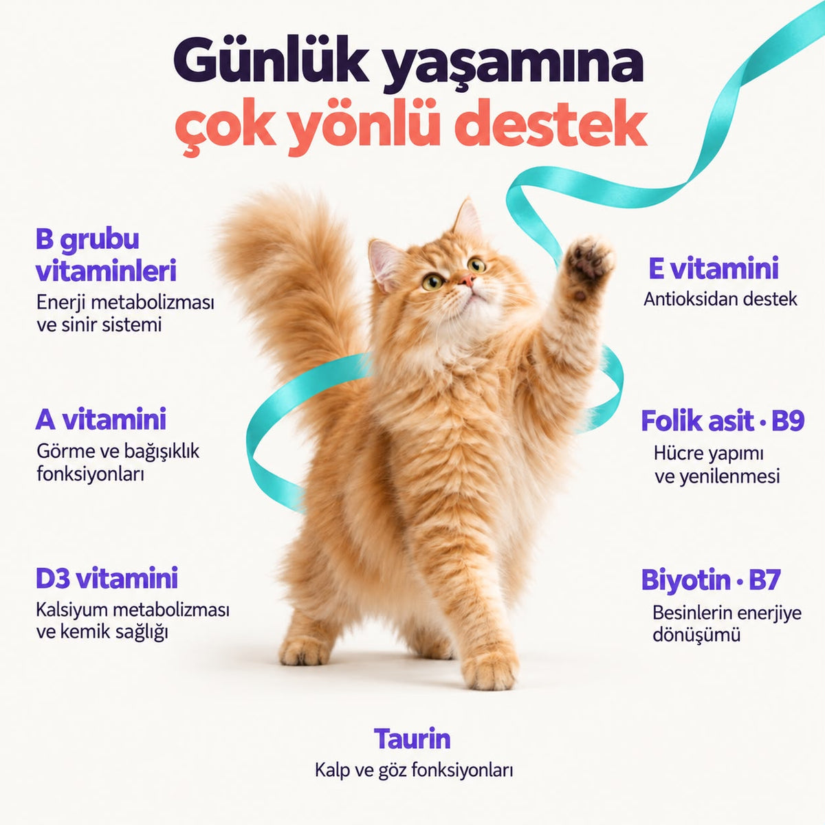 Daily Vitamix | Kedi Vitamin ve Mineral Takviyesi, 150 g