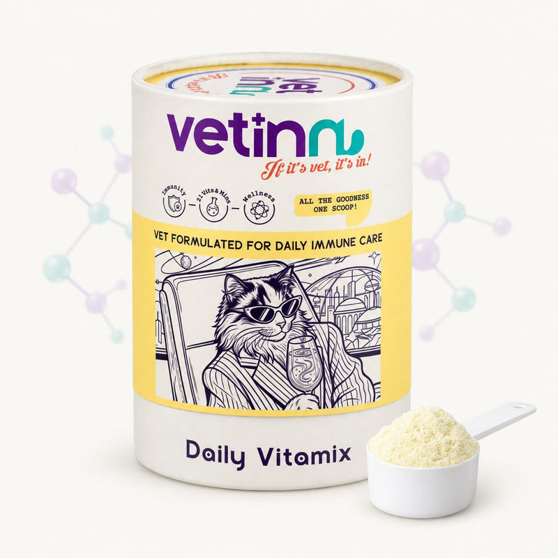 Daily Vitamix | Kedi Vitamin ve Mineral Takviyesi, 150 g