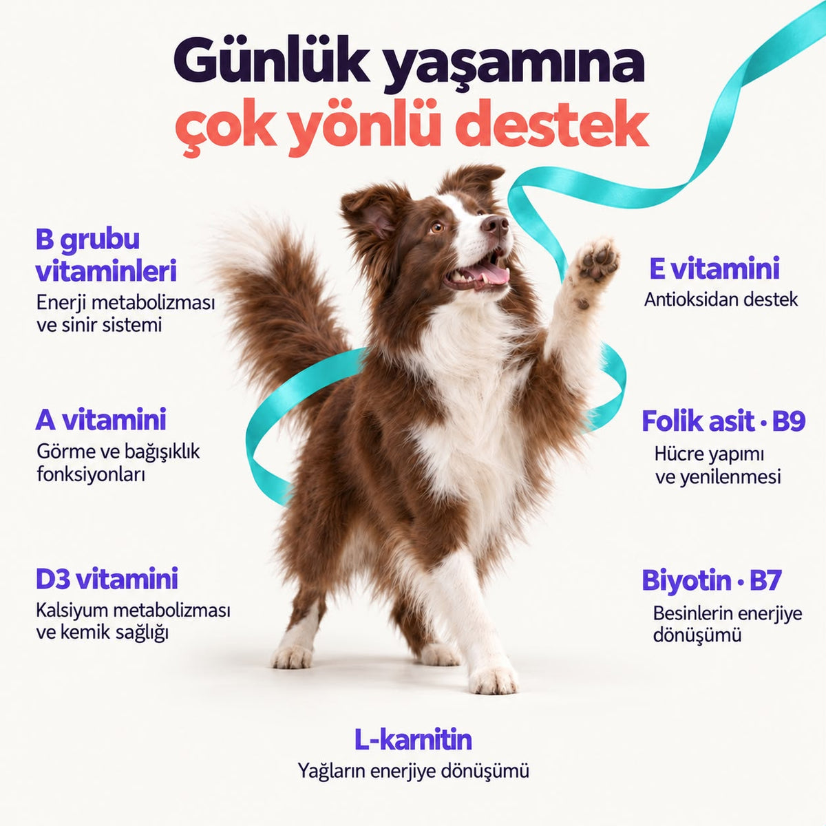 Daily Vitamix | Köpek Vitamin ve Mineral Takviyesi, 150 g