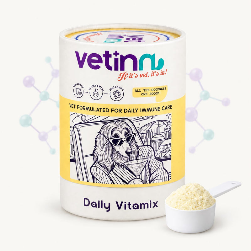 Daily Vitamix | Köpek Vitamin ve Mineral Takviyesi, 150 g