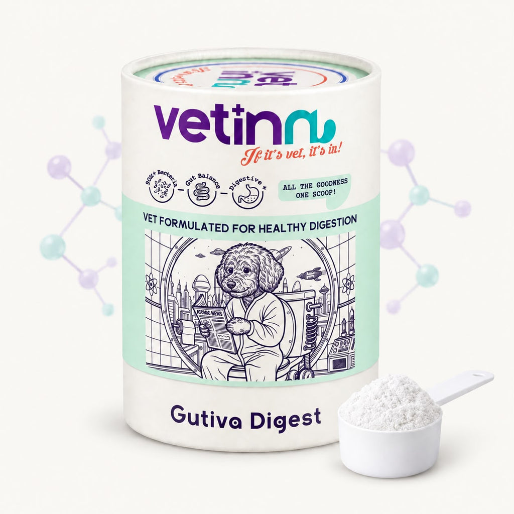 Gutiva Digest | Köpek Sindirim Sistemi Takviyesi, 150 g