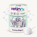 Gutiva Digest | Köpek Sindirim Sistemi Takviyesi, 150 g