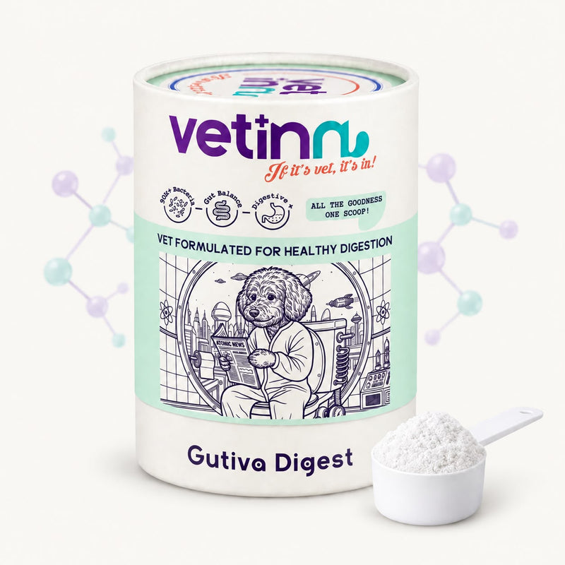 Gutiva Digest | Köpek Sindirim Sistemi Takviyesi, 150 g