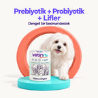 Gutiva Digest | Köpek Sindirim Sistemi Takviyesi, 150 g