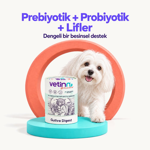 Gutiva Digest | Köpek Sindirim Sistemi Takviyesi, 150 g