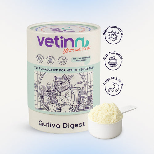 Gutiva Digest - Cat lang:en [en-first]