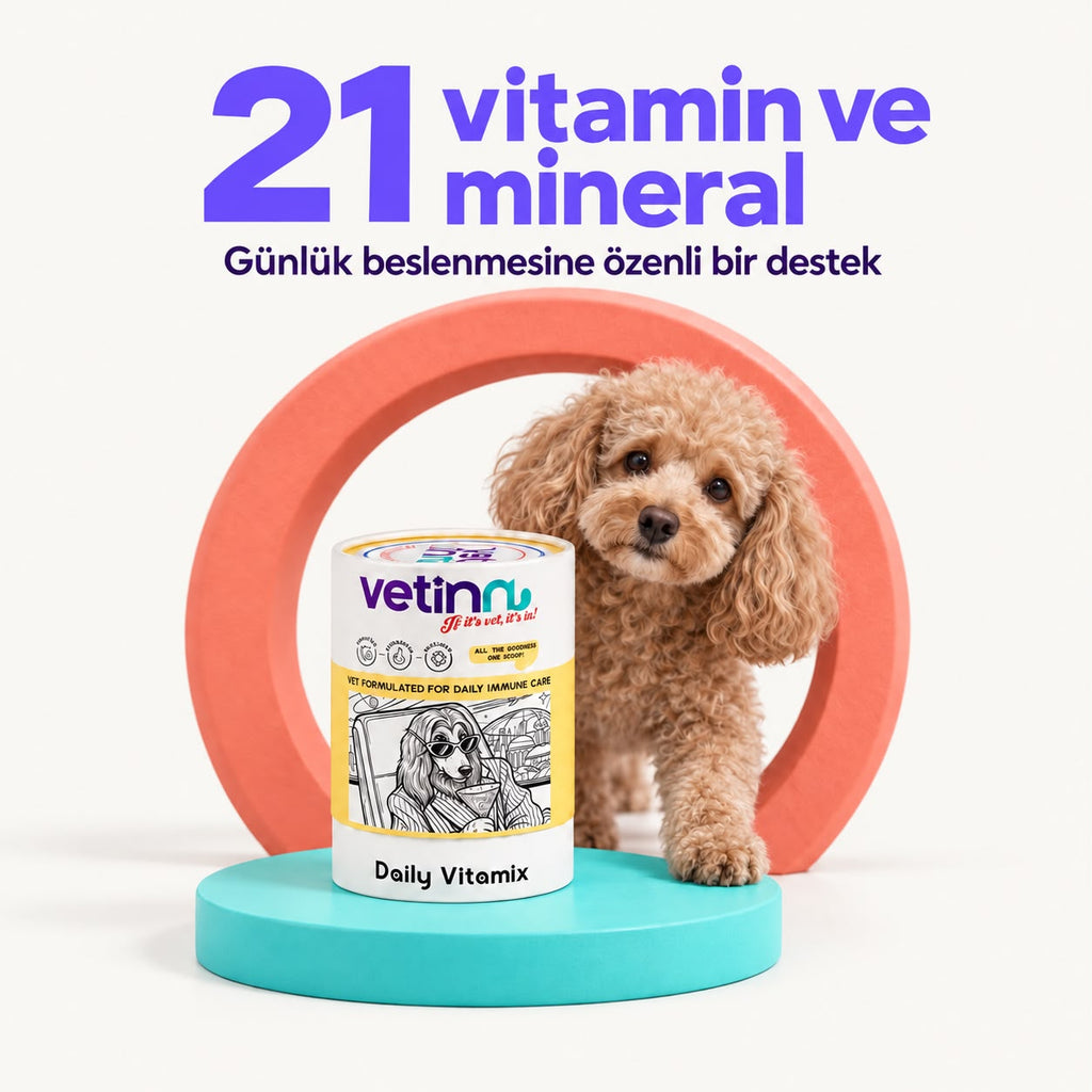 Daily Vitamix | Köpek Vitamin ve Mineral Takviyesi, 150 g
