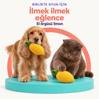 Limon | El Örgüsü Kedi ve Köpek Oyuncağı