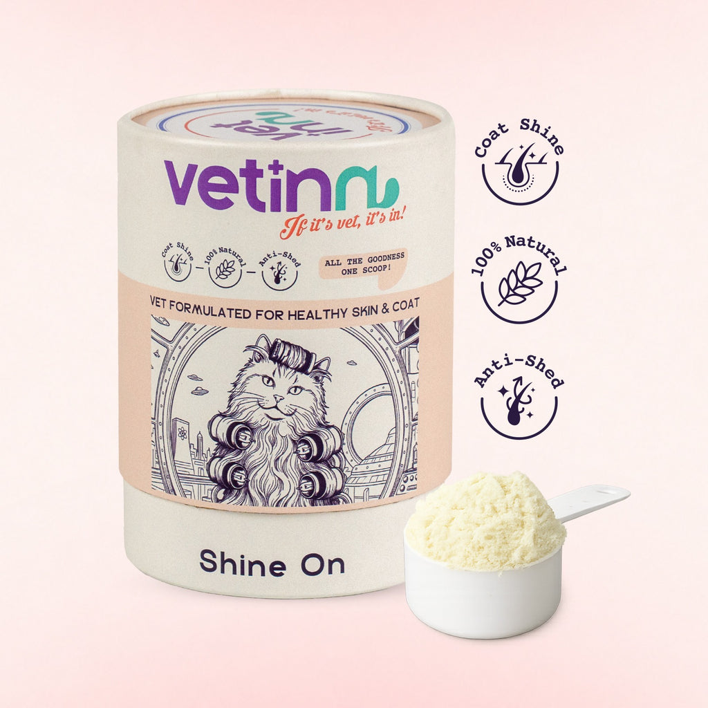 Shine on - Cat lang:en [en-first]