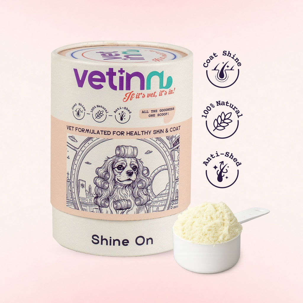 Shine on - Dog lang:en [en-first]