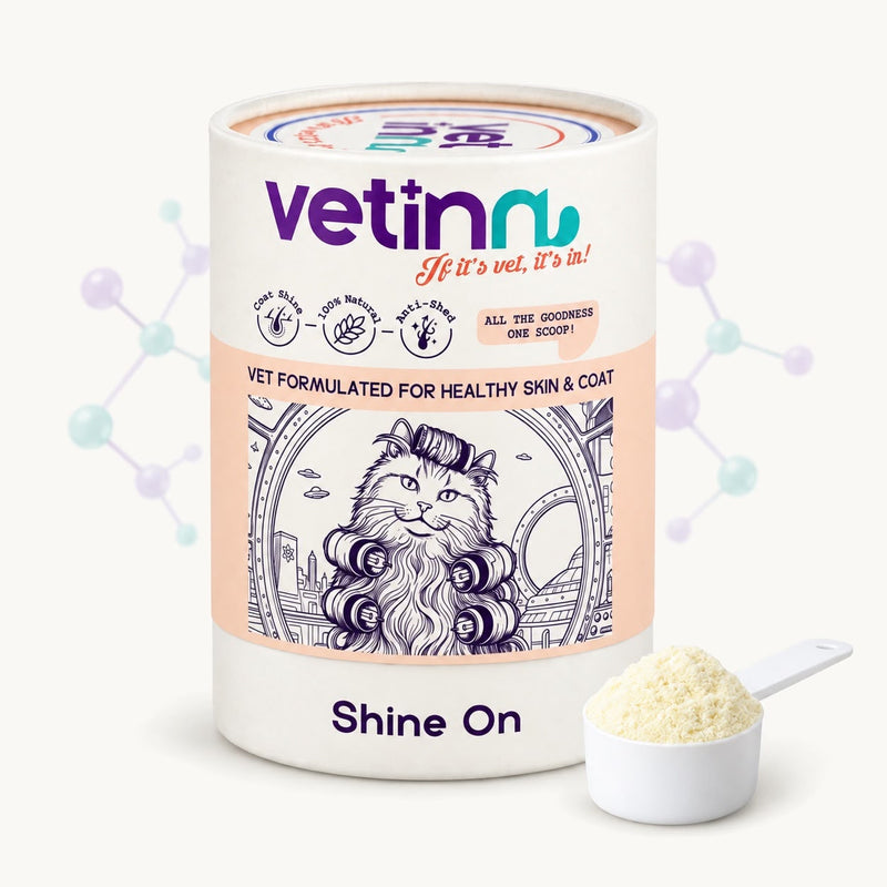 Shine On | Kedi Deri ve Tüy Sağlığı Desteği, 150 g