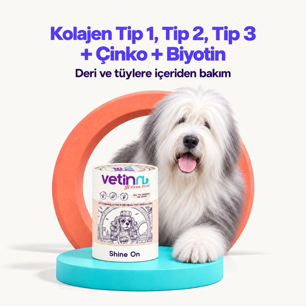 Shine On | Skin & Coat Supplement for Dogs, 150 g