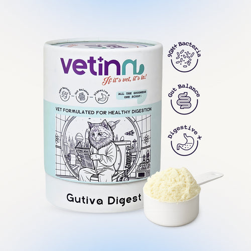 Gutiva Digest - Cat lang:en [en-first]