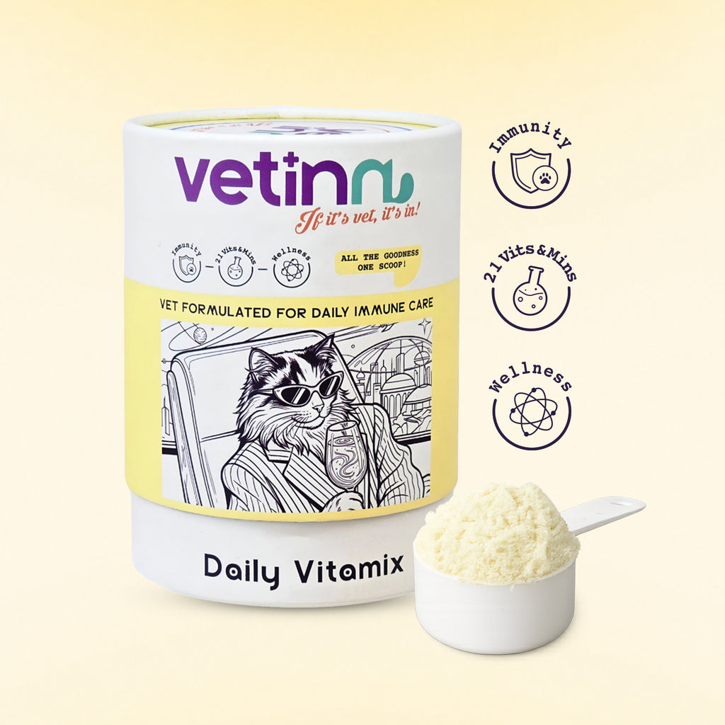 Daily Vitamix - Kedi lang:tr [tr-first]