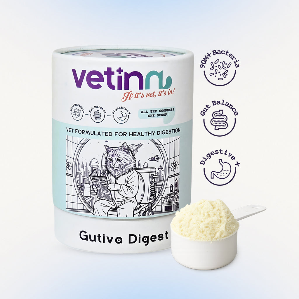 Gutiva Digest - Kedi lang:tr [tr-first]