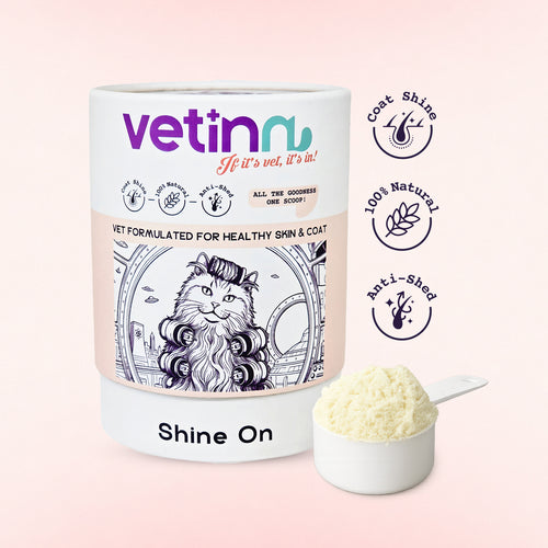 Shine on - Kedi lang:tr [tr-first]