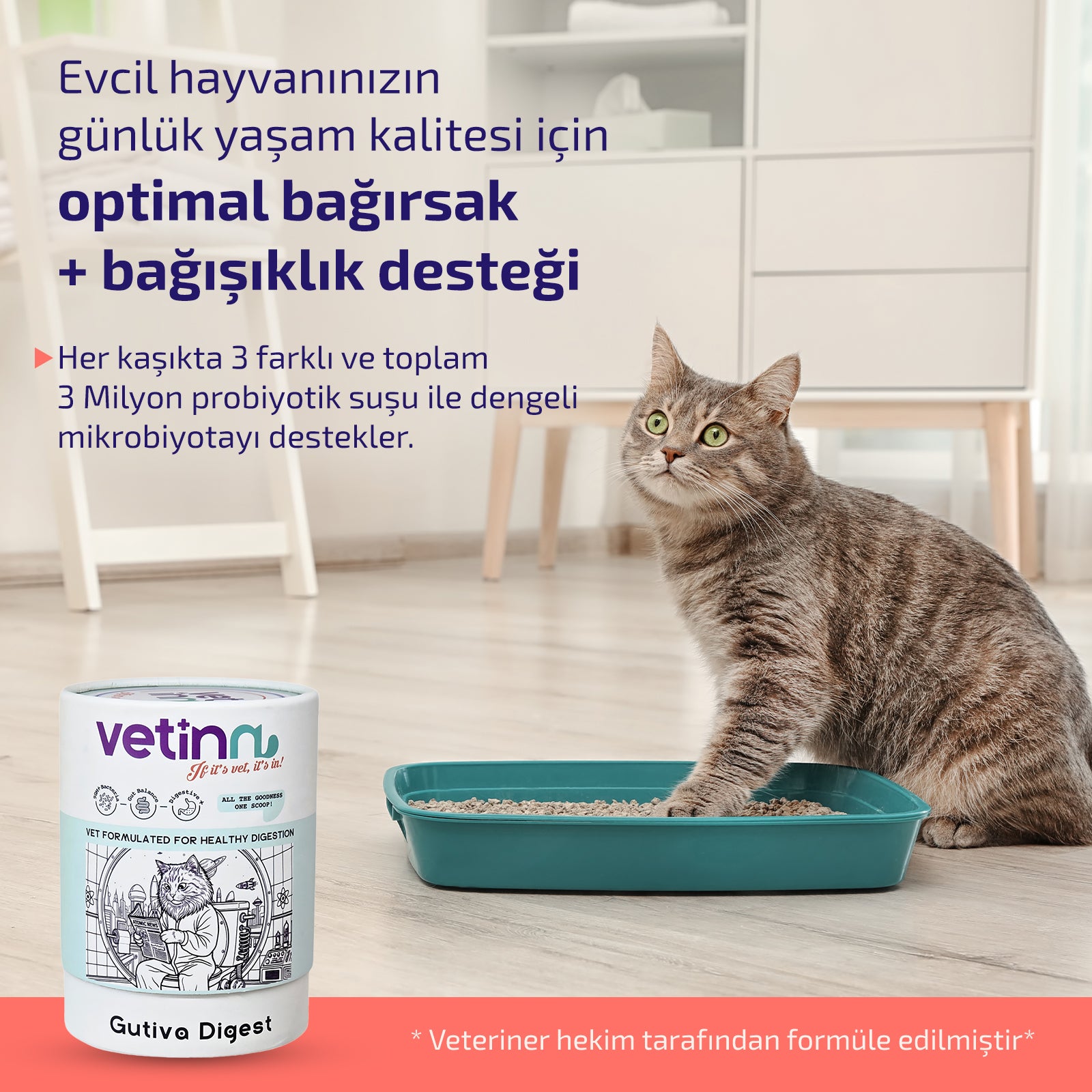 Gutiva Digest - Kedi lang:tr