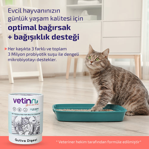 Gutiva Digest - Kedi lang:tr