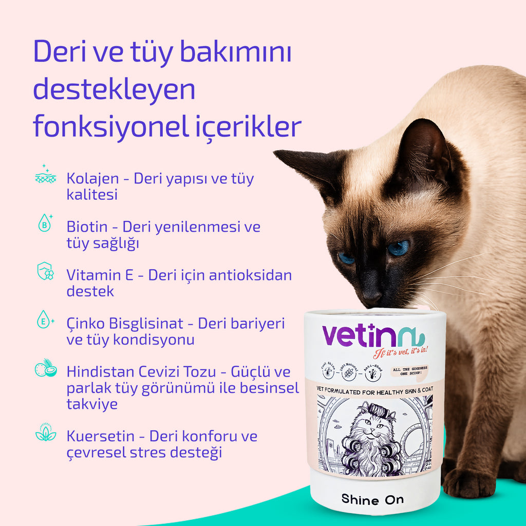 Shine on - Kedi lang:tr