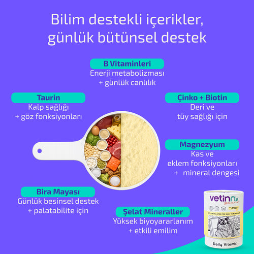 Daily Vitamix - Kedi lang:tr