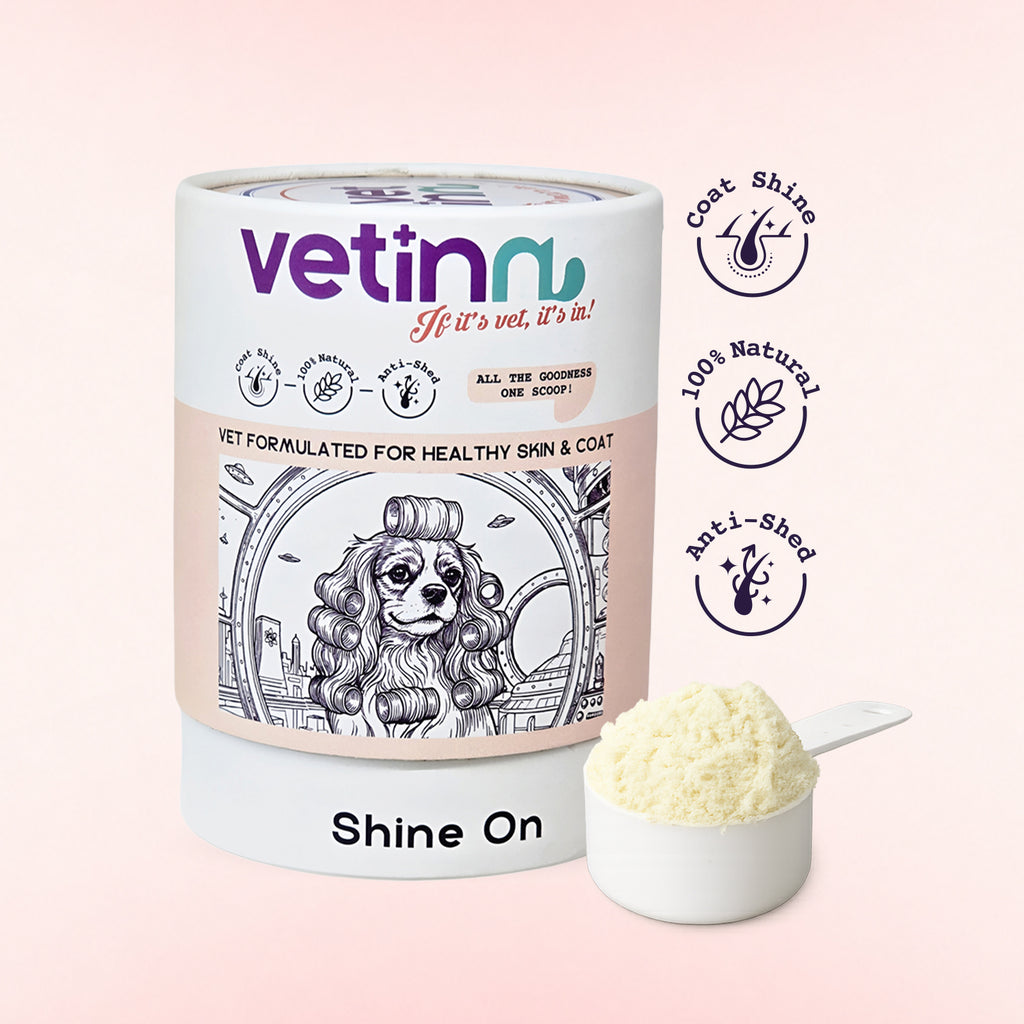 Shine on - Dog lang:en [en-first]