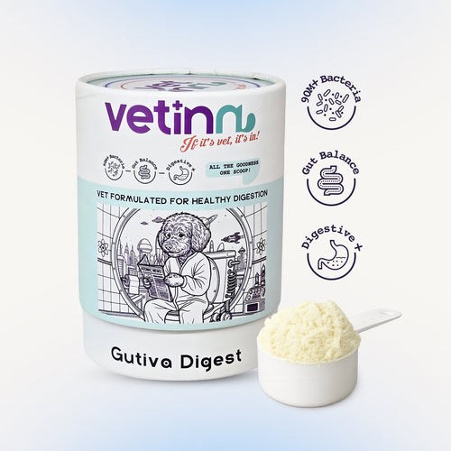 Gutiva Digest - Dog lang:en [en-first]