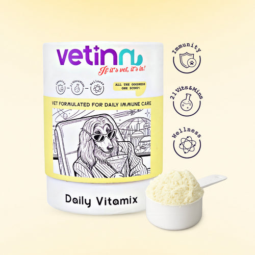 Daily Vitamix - Dog lang:en [en-first]