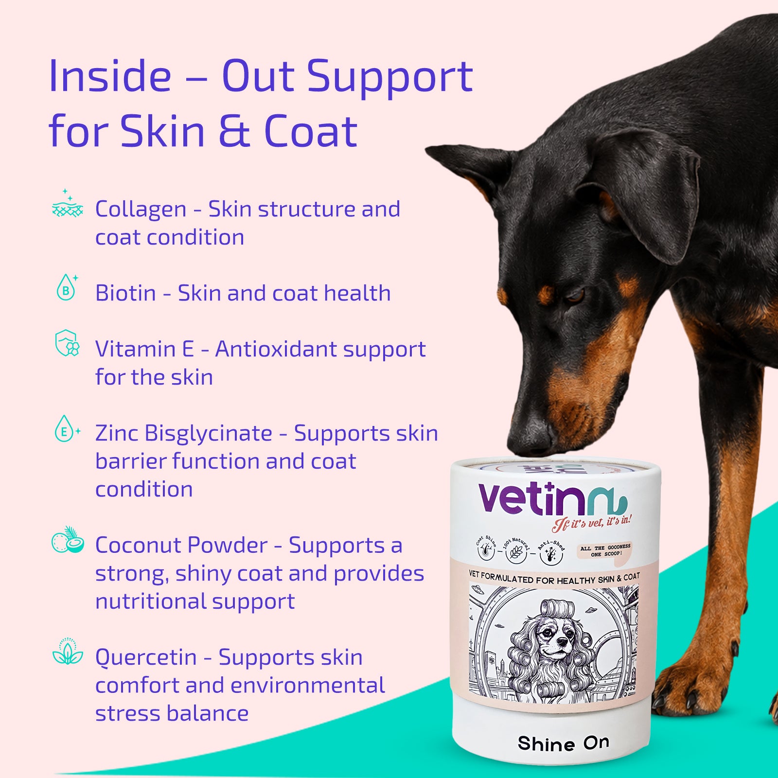 Shine on - Dog lang:en
