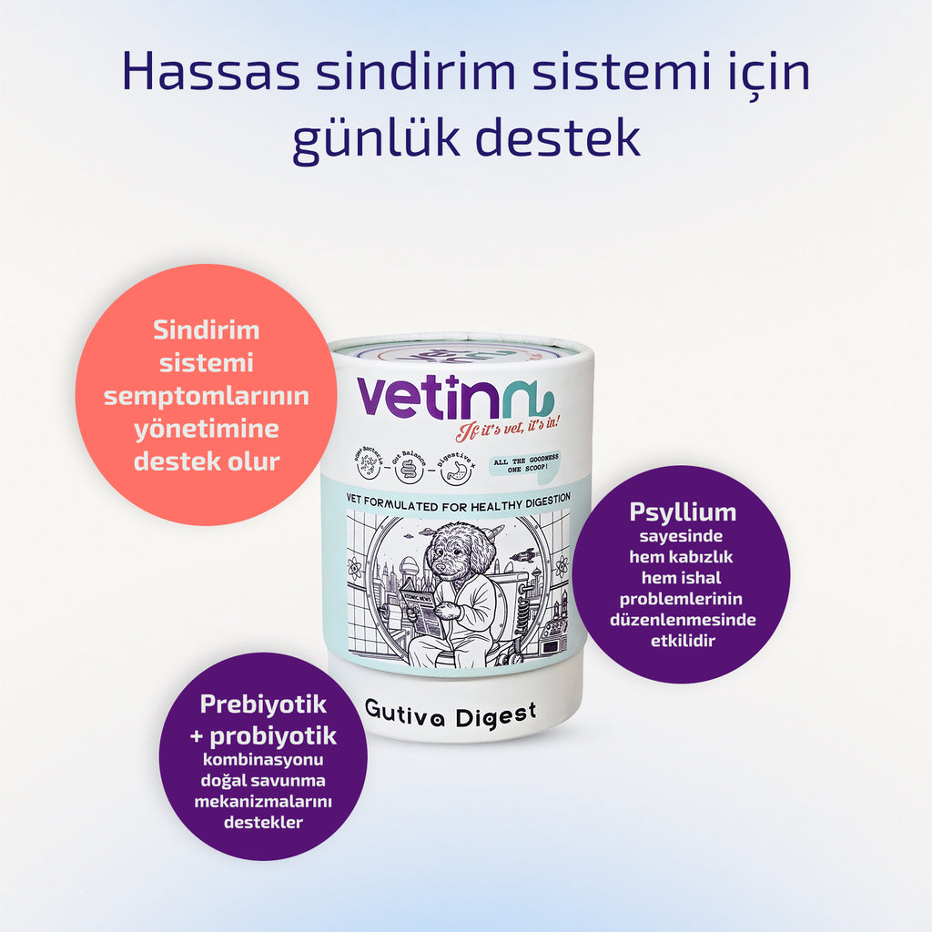 Gutiva Digest - Köpek lang:tr