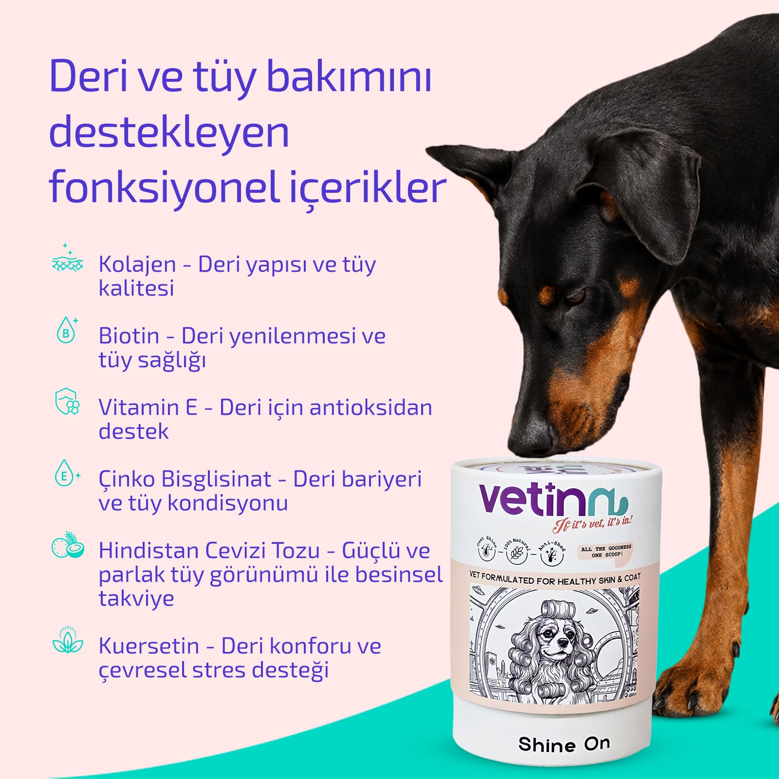 Shine on - Köpek lang:tr
